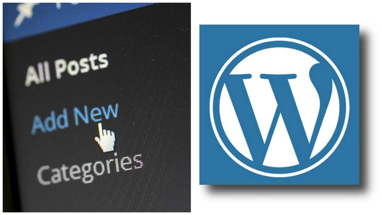 Wordpress Plugin